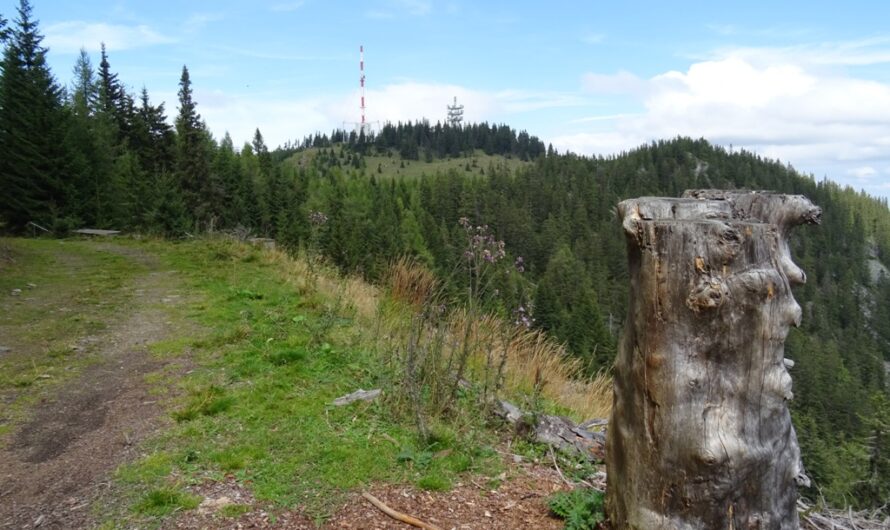 Kammweg am Sonnwendstein