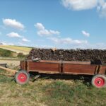 Wagen vor dem Holz