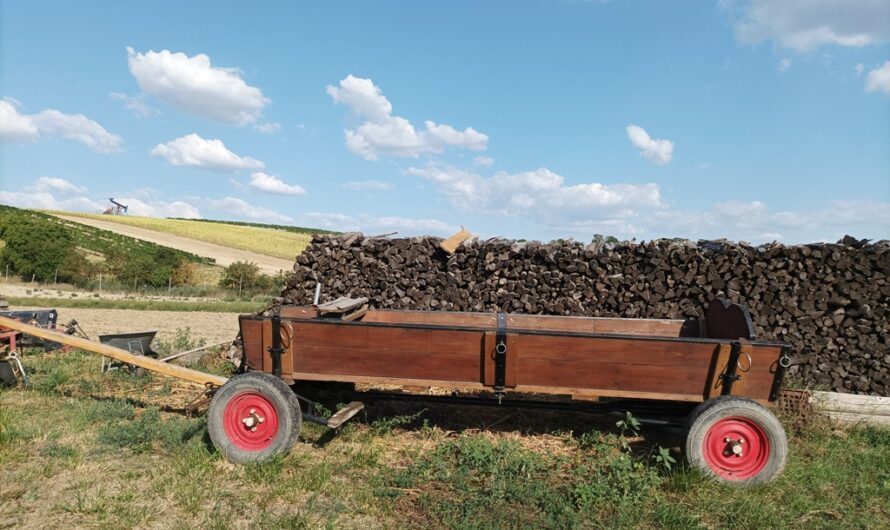 Wagen vor dem Holz