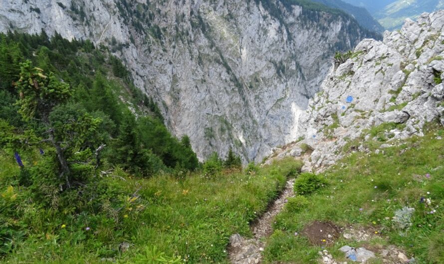 Alpenvereinssteig