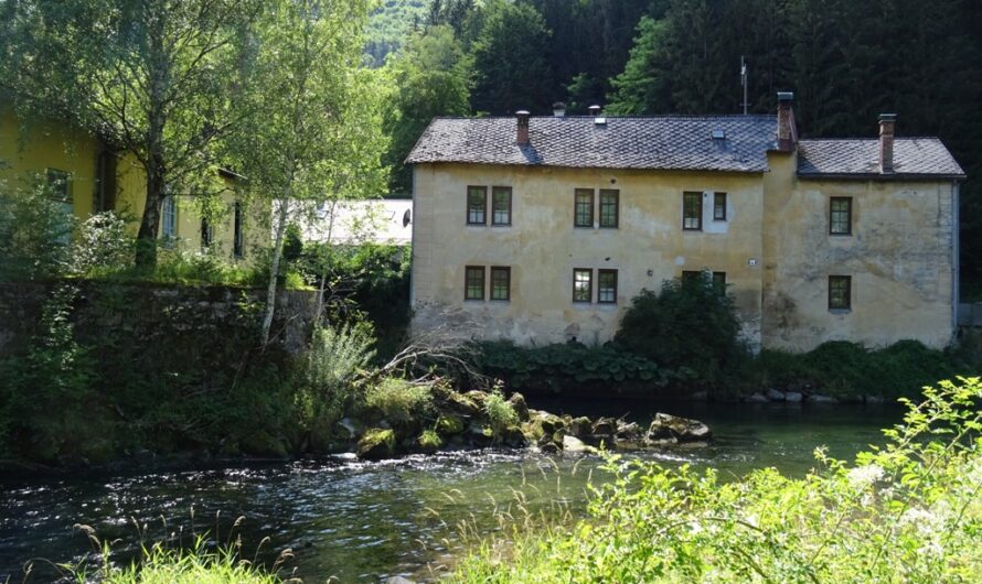 Altes Haus an der Traisen