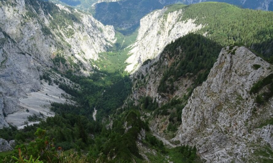 Aussicht ins Höllental