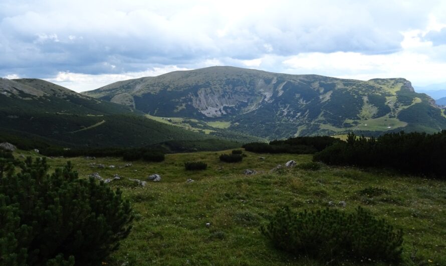 Blick zur Heukuppe