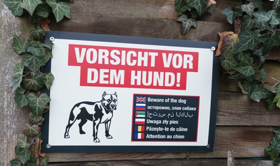 Vorsicht vor dem Hund