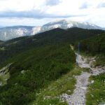 Schneebergblick an der Scheibwaldhöhe