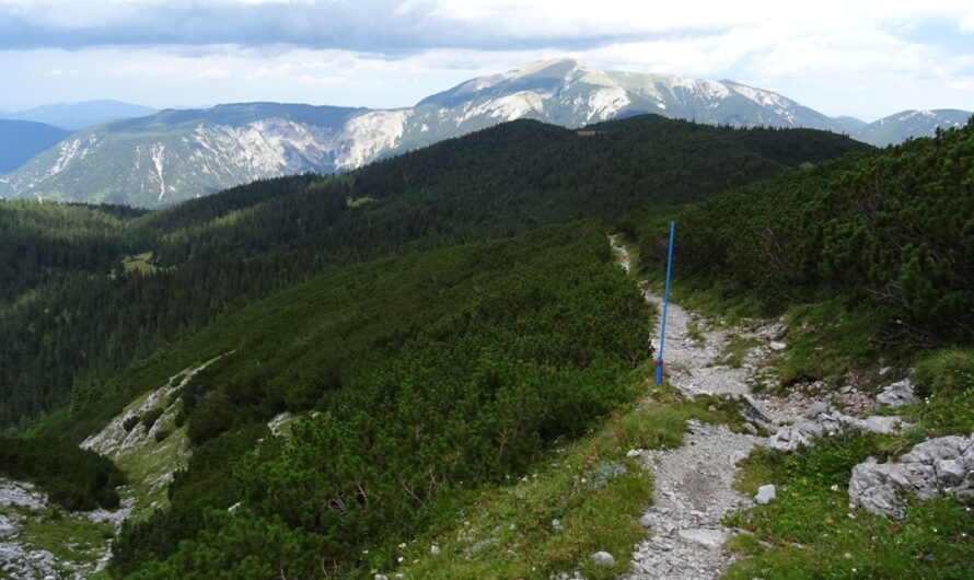 Schneebergblick an der Scheibwaldhöhe
