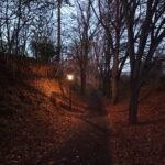 Abends am urgeschichtlichen Wanderweg