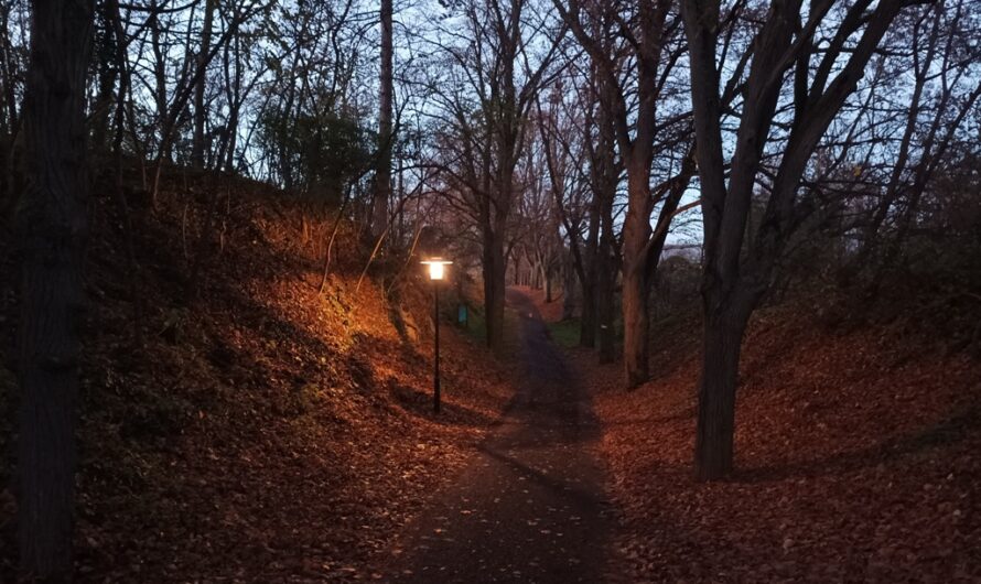 Abends am urgeschichtlichen Wanderweg