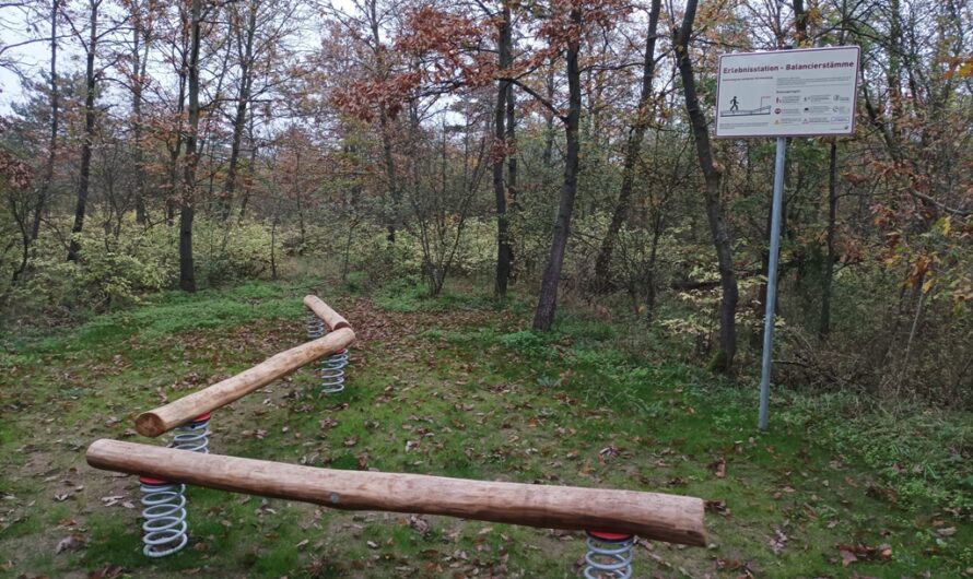 Erlebnisstationen im Wagramer Wald