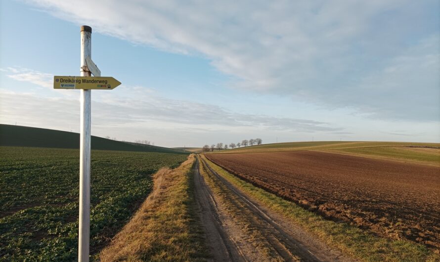 Auf dem Dreikönig Wanderweg