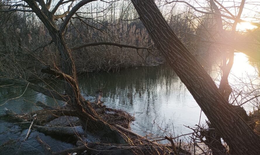 Märzstimmung am Kanal