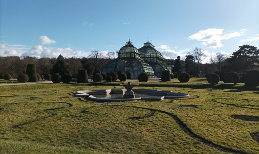 Palmenhaus im Februar