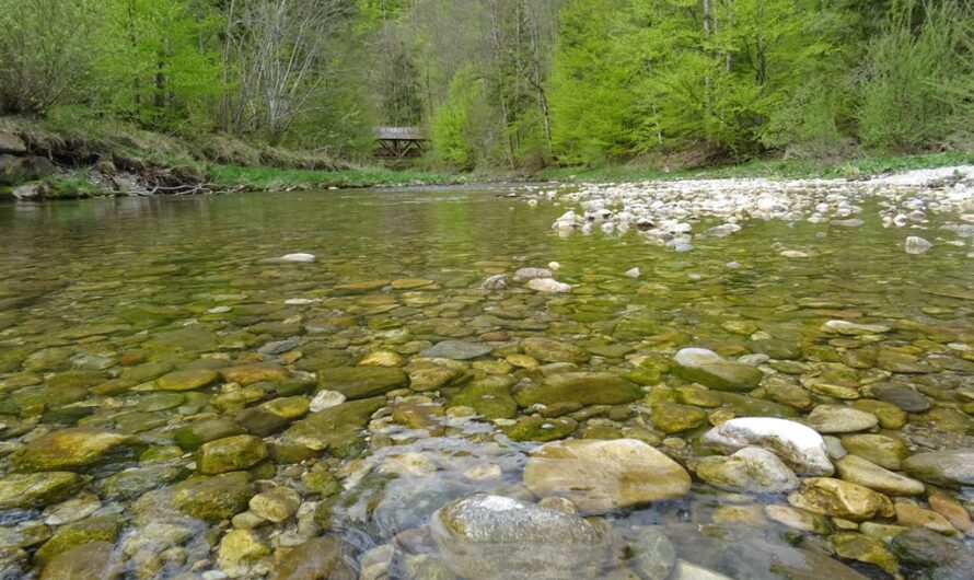 Mürzwasser