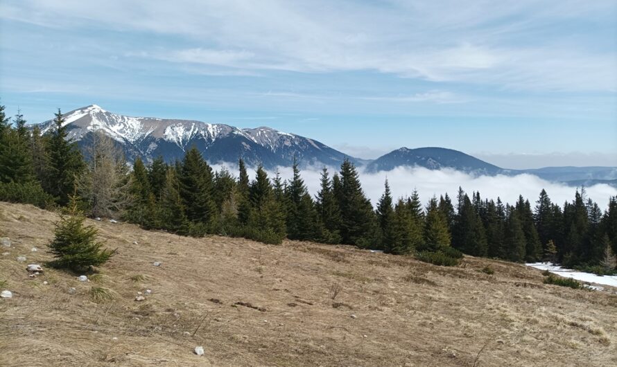 Schneebergblick Mai 2023