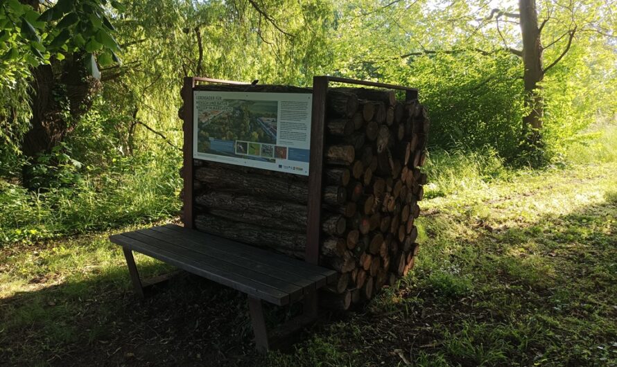 Sitzplatz vor Holzbaige