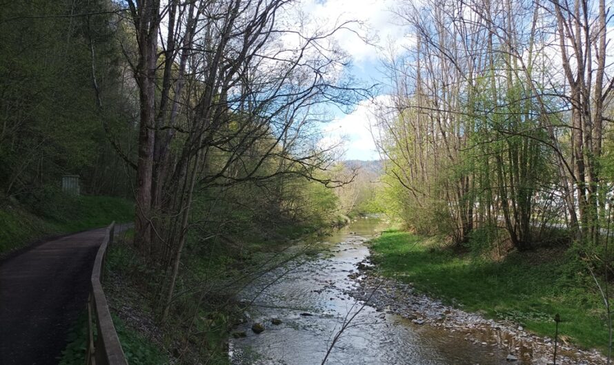 Spazierweg an der Mürz