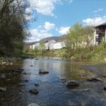 Steine in der Mürz