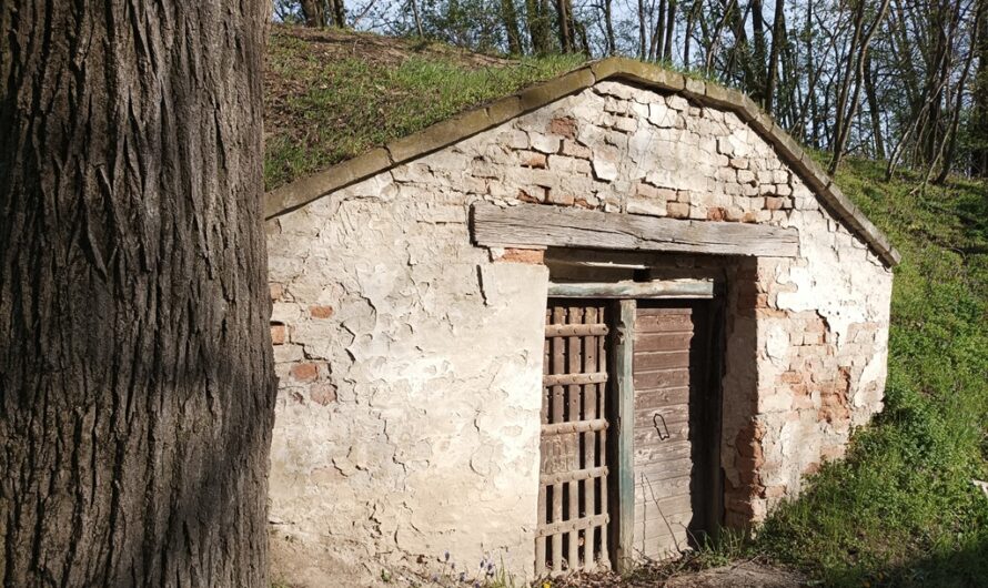 Alter Weinkeller in Bockfließ