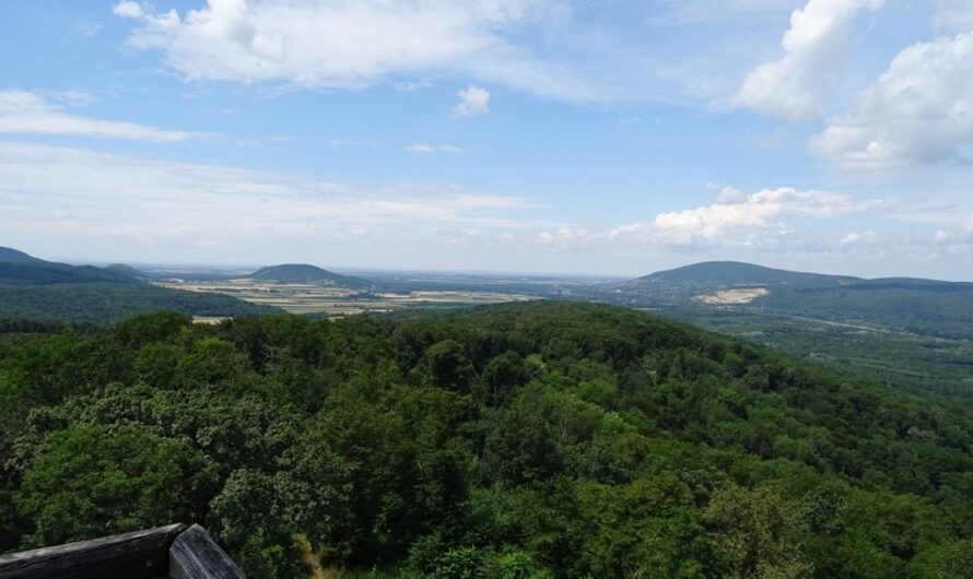 Aussicht von der Königswarte