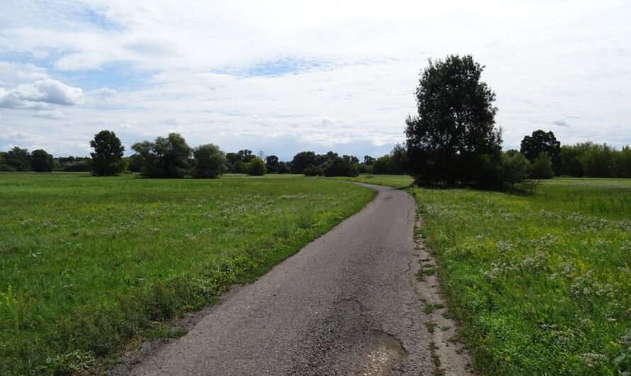 Radfahren am Grünen Band