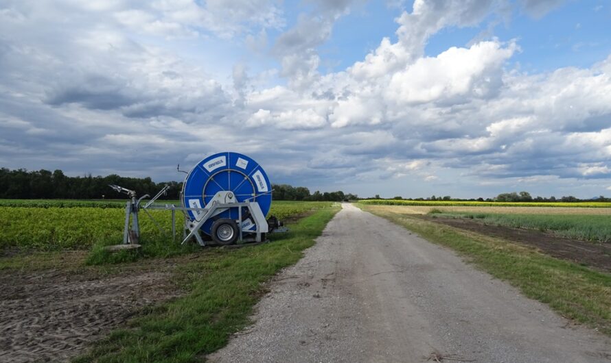 Radweg nach Leopoldsdorf