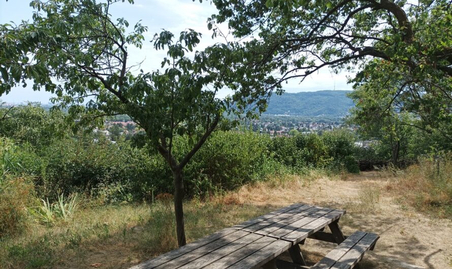 Rastplatz im Venusgarten