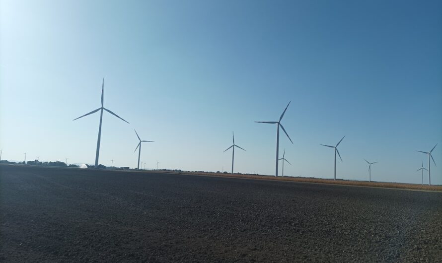 Im Windpark Obersiebenbrunn