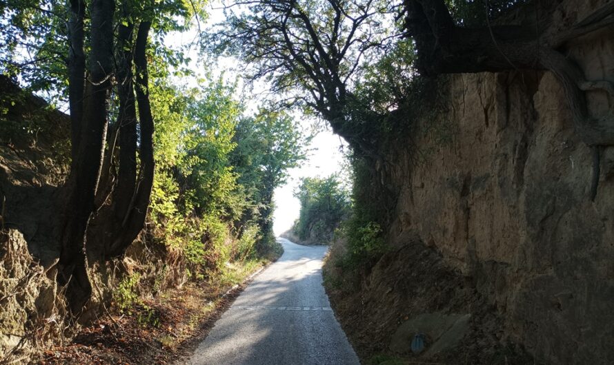 Königsberg Hohlweg im Spätsommer