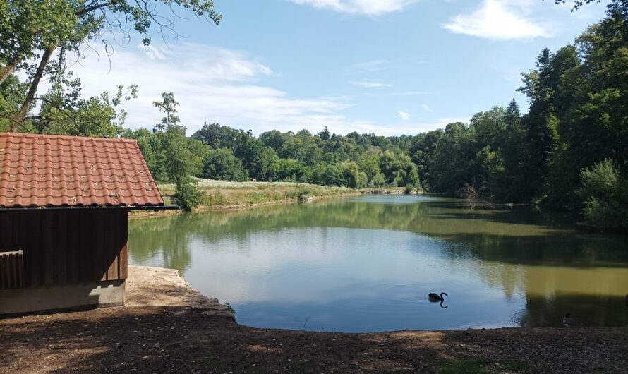 Großer Teich bei Haag