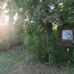 Marterl Abends im Wald