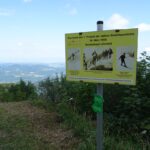 Zdarsky auf dem Muckenkogel