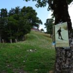 Rundwanderweg bei der Traisneralm