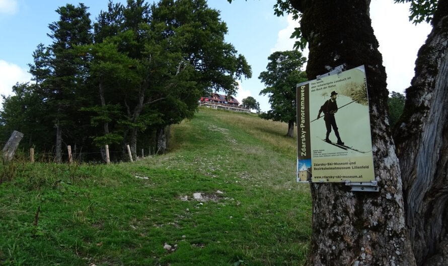 Rundwanderweg bei der Traisneralm