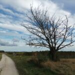 Kalte Jahreszeit am Bockberg