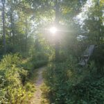 Sommerabend bei Dietenheim