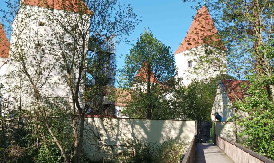Brücke zur Schlossinsel