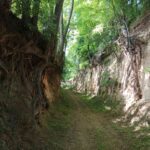 Hohlweg am OMV Wanderweg