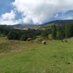Ausblick von der Brunnalm
