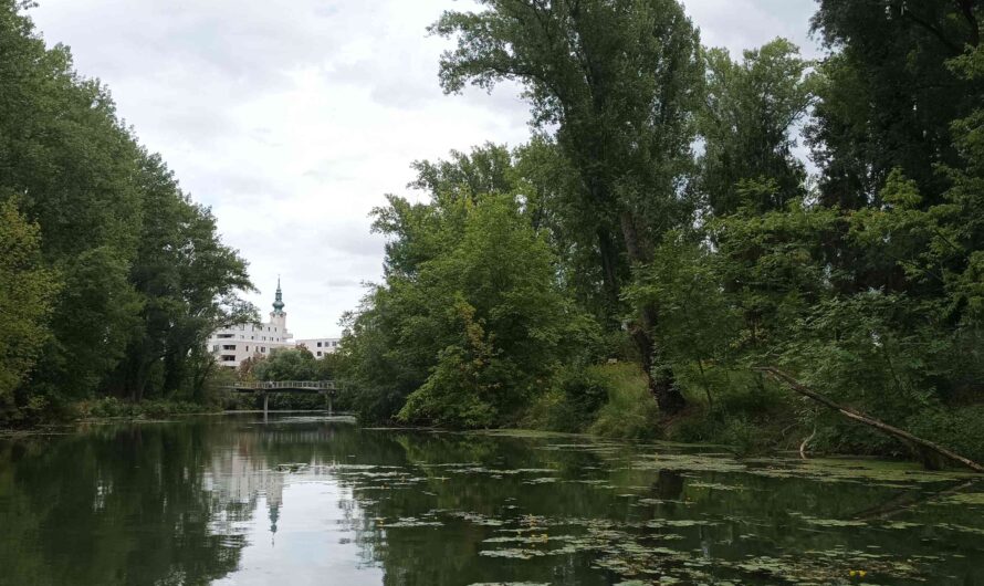 Wasserpark Tulln