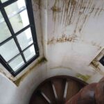 Schimmel im Turm