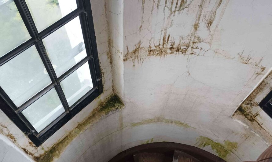 Schimmel im Turm