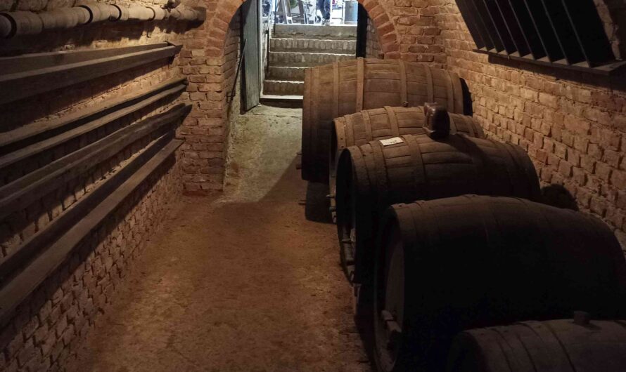 Fässer im Vino Versum