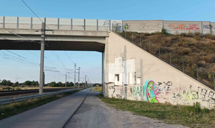 Radweg bei Seyring