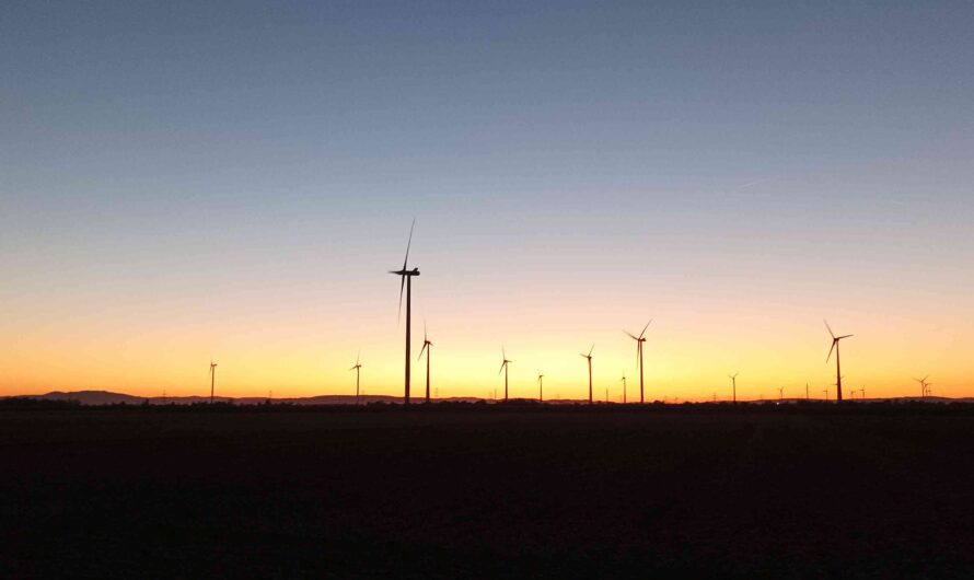 Weinviertler Sonnenuntergang