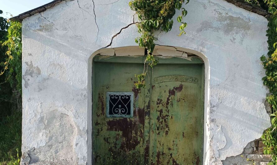 Keller am Hundsbergweg