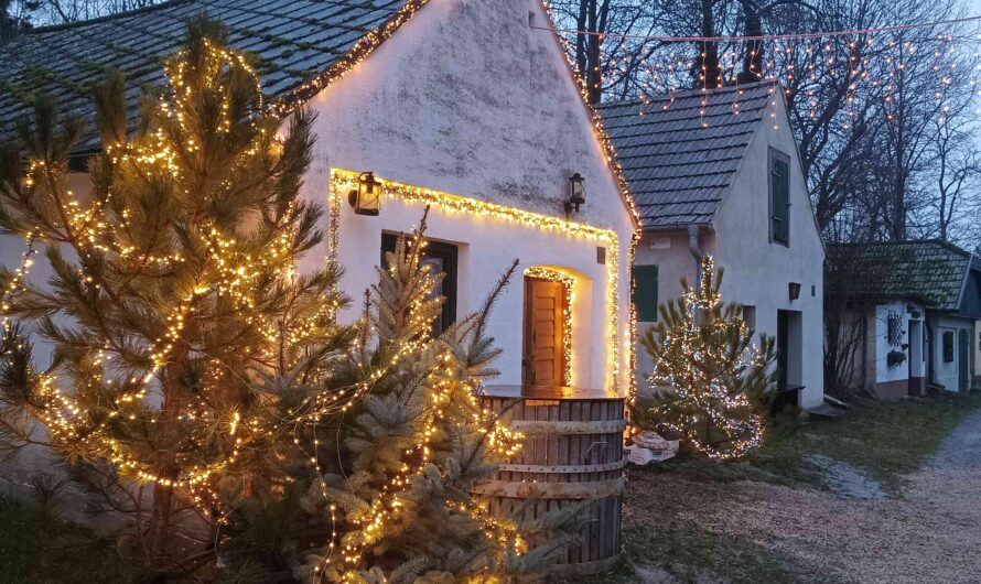 Advent am Rochusberg