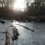 Eis auf dem Altwasser