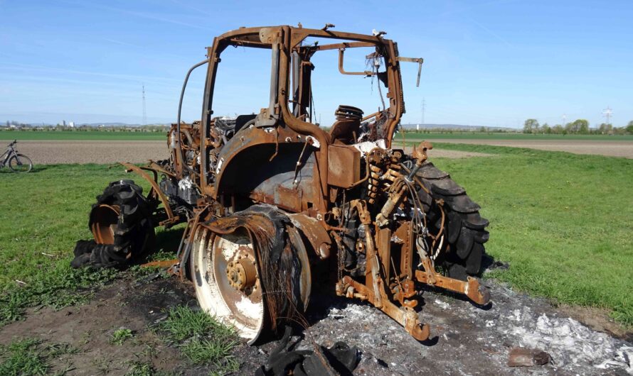 Traktor Leiche bei Aderklaa