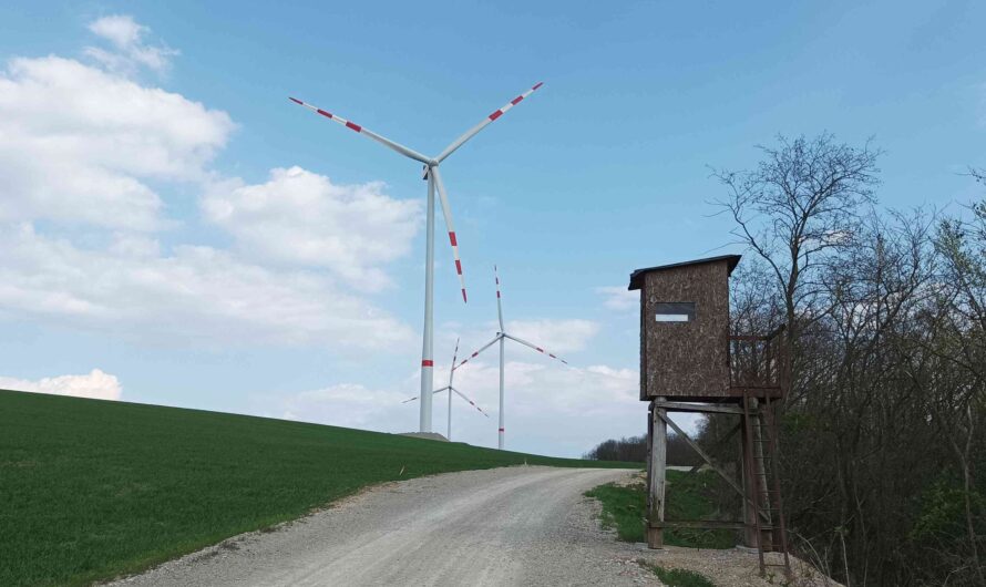 Windräder bei Spannberg