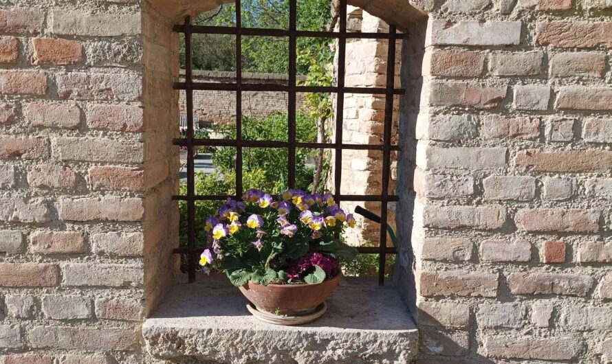 Blumen vor dem Gitter